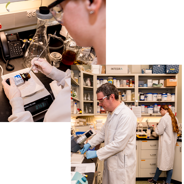 Blumberg Institute Scientists working