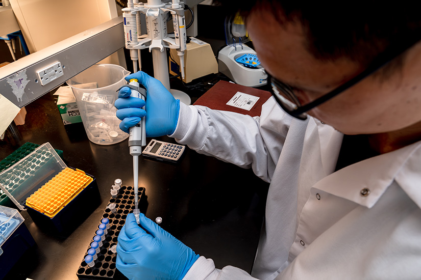 scientist at bench working